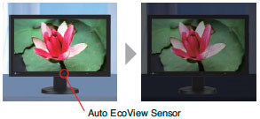 Auto EcoView Sensor